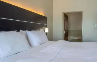 Day use room with king bed and private bathroom at Holiday Inn Express & Suites Yorkville.