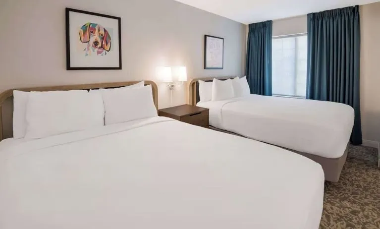 Day use twin room at Sonesta ES Suites Andover Boston.