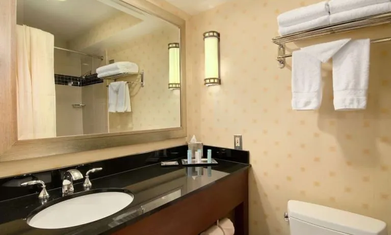 Guest bathroom with shower at Hilton Chicago O'Hare Airport.