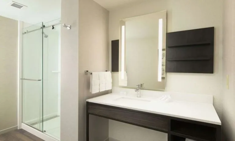 Guest bathroom with shower at Hilton Garden Inn Memphis Downtown.