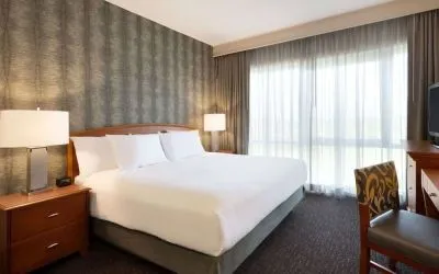 King suite with working station and natural light at Embassy Suites By Hilton Nashville South Cool Springs.