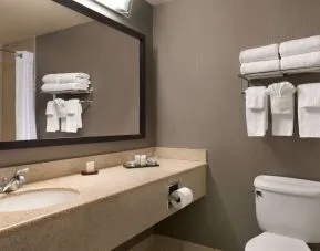 Guest bathroom with shower at Embassy Suites By Hilton Nashville South Cool Springs.