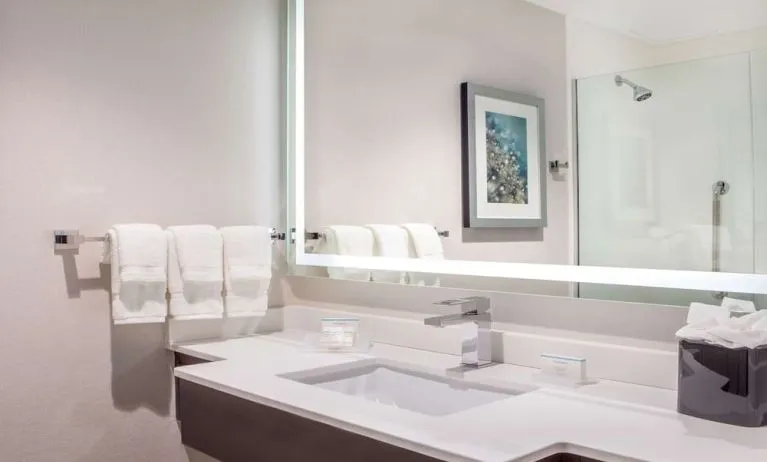 Guest bathroom with shower at Hilton Garden Inn NYC Financial Center/Manhattan Downtown.
