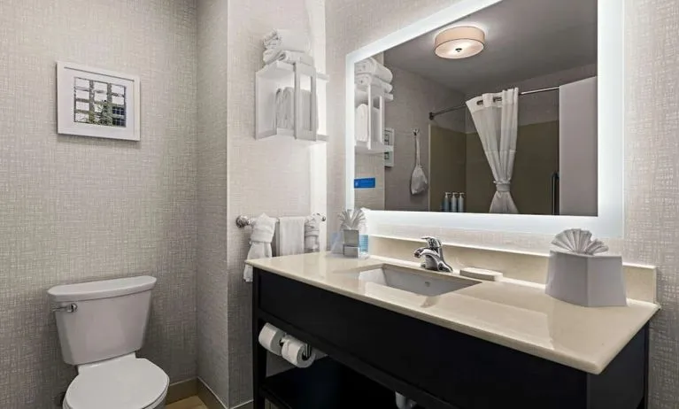 Guest bathroom with shower at Hampton Inn & Suites Schererville.