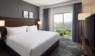 Comfortable king size bed with natural light at Hilton Charlotte Airport.
