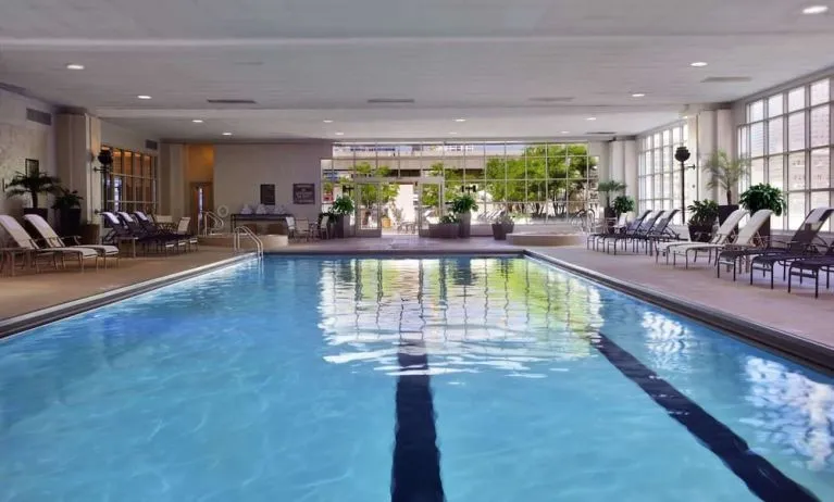 Refreshing indoor pool at Hilton Chicago.