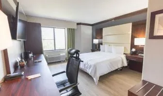 Bright-lit day use room with work desk at The Leo Collection, An Ascend Collection Hotel.