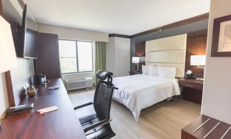 Bright-lit day use room with work desk at The Leo Collection, An Ascend Collection Hotel.