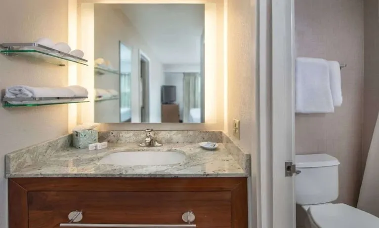 Private guest bathroom with free toiletries at Sonesta ES Suites Baltimore BWI Airport