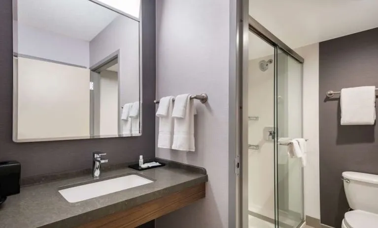 Private guest bathroom with shower and free toiletries at Sonesta Select San Jose Airport.