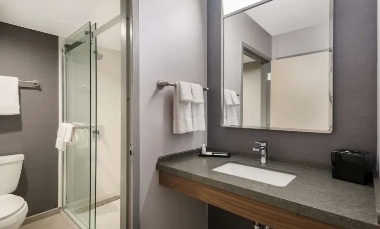 Private guest bathroom with shower at Sonesta Select San Jose Airport.