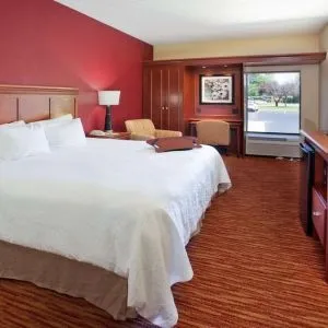 King room with TV screen, work desk and sofa at Hampton Inn Columbus-East.