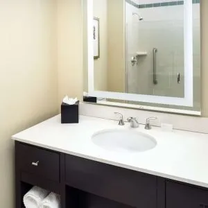 Guest bathroom with shower at Embassy Suites By Hilton St. Louis Downtown.