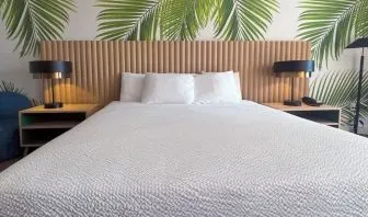 King room at The Harrison Hotel Downtown Hollywood.