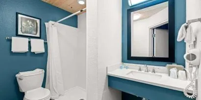 Private guest bathroom with shower and free toiletries at OYO Townhouse Orlando West.