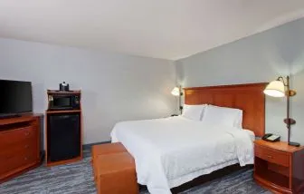King bed at Hampton Inn & Suites Clovis-Airport North.