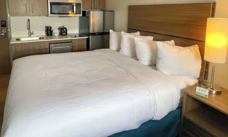 Cozy king room at MainStay Suites Oak Brook Terrace - Chicago.