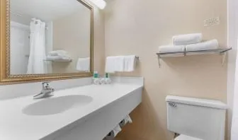 Guest bathroom with shower and free toiletries at Holiday Inn Express Chicago - Downers Grove.
