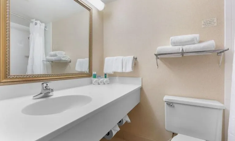 Guest bathroom with shower and free toiletries at Holiday Inn Express Chicago - Downers Grove.