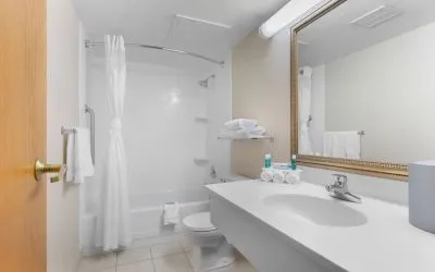 Private guest bathroom with combined shower and tub at Holiday Inn Express Chicago - Downers Grove.