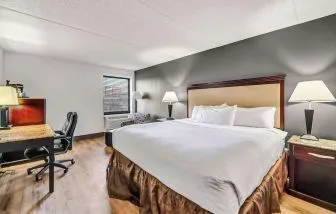 King bed at Radisson Hotel Schaumburg.