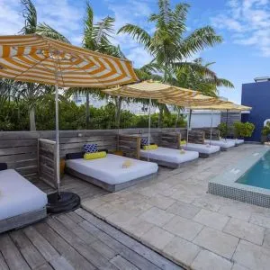 Outdoor pool with lounge beds at Catalina Hotel & Beach Club.