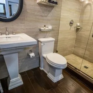 Private guest bathroom with shower and free toiletries at Hotel Croydon.