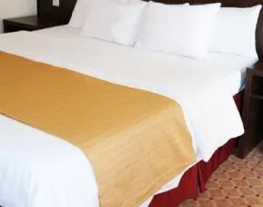 Trip Inn Frankfurt Nordwestzentrum, Frankfurt