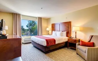 Dayroom with TV and natural light at Comfort Inn Pomona Near Fairplex.