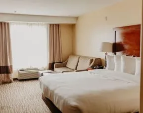 Delux king room with natural light at Comfort Inn Pomona Near Fairplex.