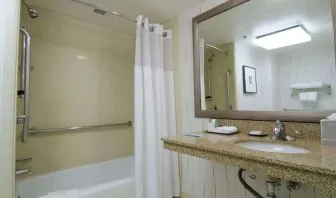 Guest bathroom with shower and tub at Hilton Los Angeles Airport.