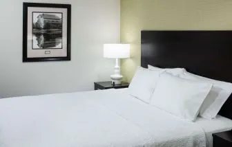 King bed at Hampton Inn & Suites Gainesville-Downtown.