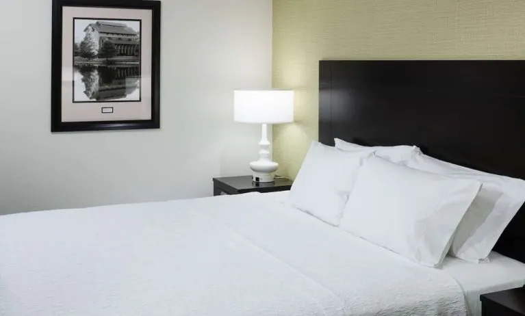 King bed at Hampton Inn & Suites Gainesville-Downtown.