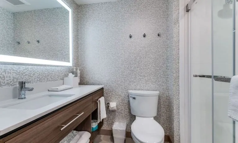 Private guest bathroom with shower and free toiletries at Home2 Suites By Hilton Dallas Medical District Lovefield.