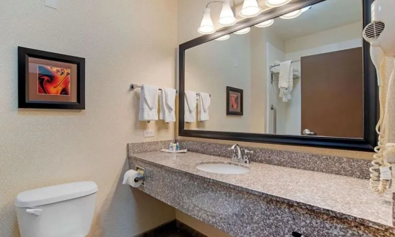 Private guest bathroom with free toiletries at Comfort Suites Alexandria, LA.
