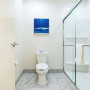 Private guest bathroom with shower and free toiletries at Palace Inn Blue IAH East.