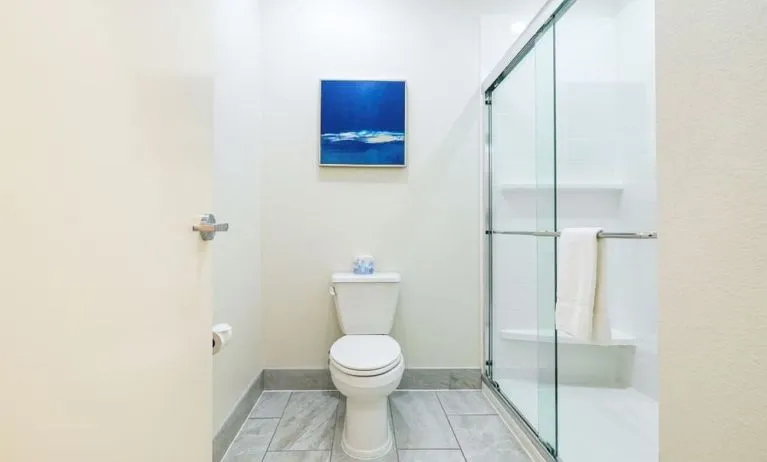 Private guest bathroom with shower and free toiletries at Palace Inn Blue IAH East.