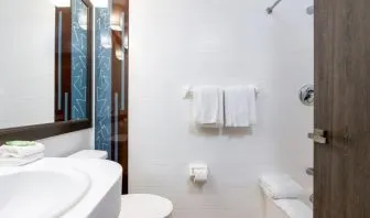 Private guest bathroom with combined shower and tub at Regency Miami Airport By Sonesta.