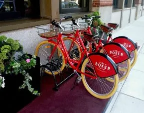Bicycle rentals available at The Boxer Boston.