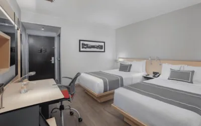 City Express Plus by Marriott Insurgentes Sur