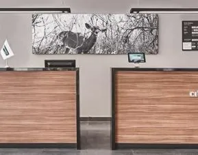 City Express by Marriott Monterrey Lindavista, Monterrey