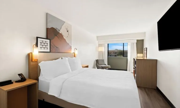 Day use room with natural light at Spark By Hilton Fountain Hills Scottsdale.