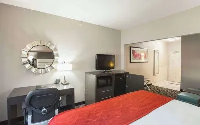 Day use room at Comfort Suites Lewisville.