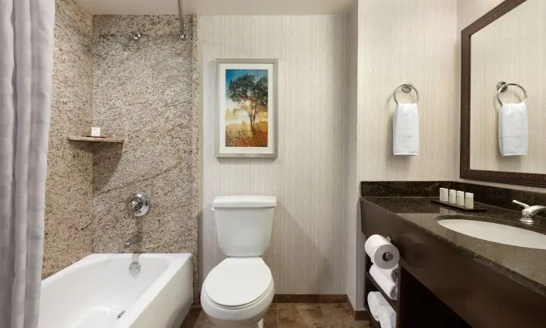 Guest bathroom with shower and tub at Embassy Suites By Hilton Brea North Orange County.