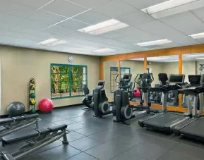 Bright fitness room with treadmills, ellipticals, free weight benches, medicine and exercise balls.