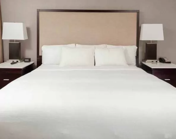 standard king bedroom with natural light at DoubleTree Suites by Hilton Hotel Dayton - Miamisburg.