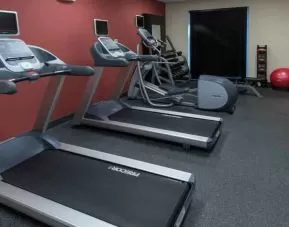 Fitness center with treadmills at the Hilton Garden Inn Tallahassee Central.