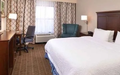 Delux king room with TV and work desk at Hampton Inn & Suites Pueblo-Southgate.