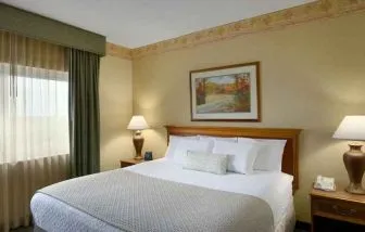 King size bed in a hotel suite with window at the Embassy Suites by Hilton Charleston Airport Convention Center.
