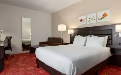 Queen room with desk and mirror at the Hilton Garden Inn Leiden.